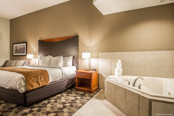 Hotel Comfort Suites Columbia at Harbison